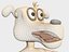 Perro