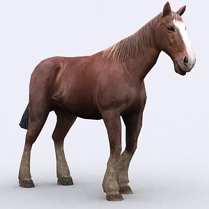 - horse 3d 3ds