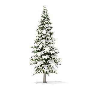 3D model fir tree snow 4