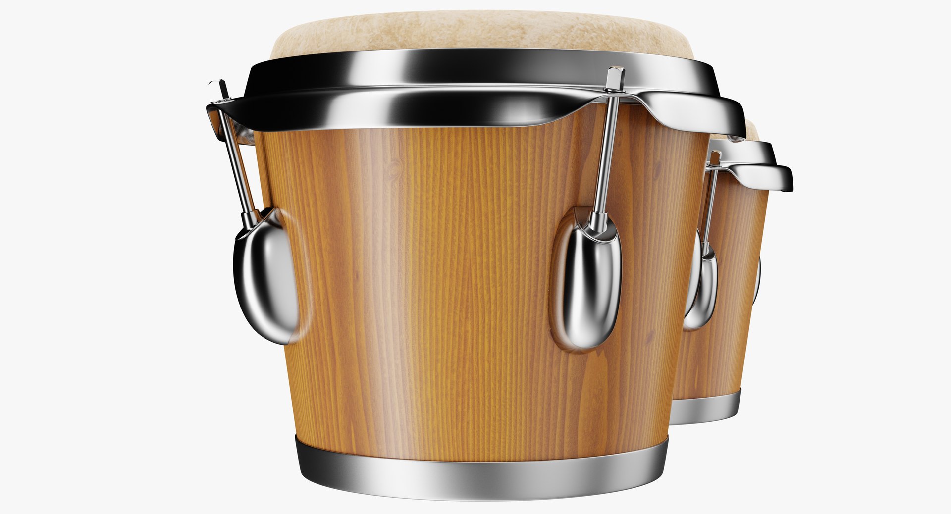 Bongo 3D Model - TurboSquid 1702156