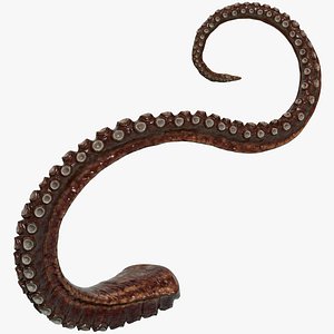 Octopus Tentacle Multicolor Rigged Animated