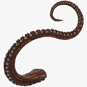 Octopus Tentacle Multicolor Rigged Animated