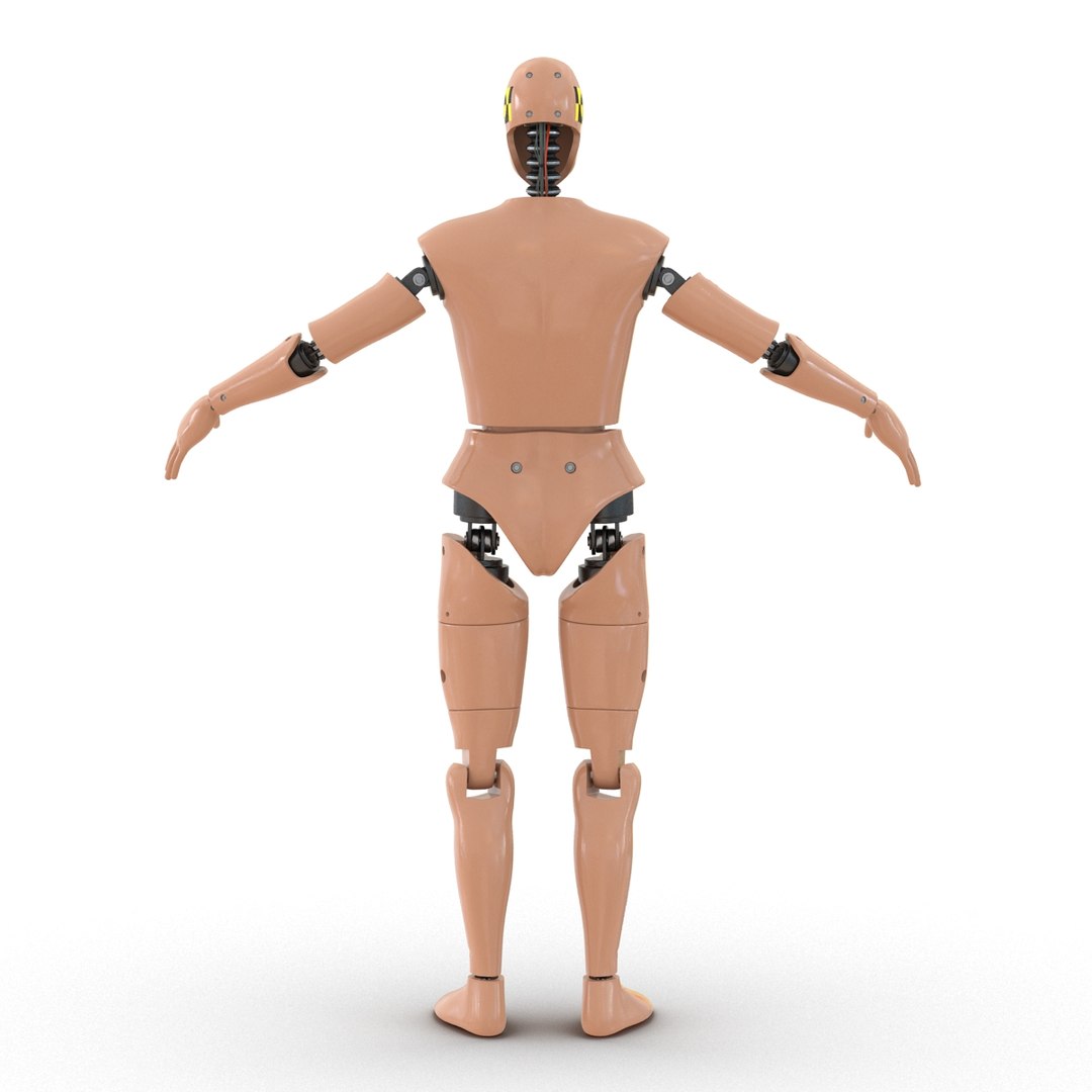 male crash test dummy 3d model https://p.turbosquid.com/ts-thumb/QN/q2bQfW/6gMo6WIg/malecrashtestdummyriggedmayamb3dmodel08/jpg/1481912571/1920x1080/fit_q87/49b22d1b7464c2822f55d67cc4f4464b8f3b5bf3/malecrashtestdummyriggedmayamb3dmodel08.jpg
