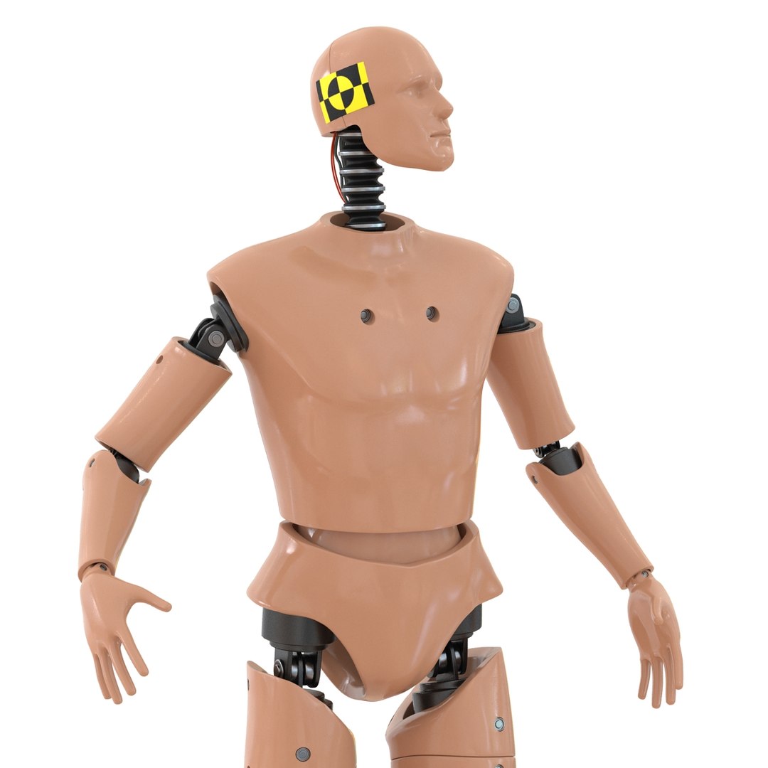male crash test dummy 3d model https://p.turbosquid.com/ts-thumb/QN/q2bQfW/84lUGTLg/malecrashtestdummyriggedmayamb3dmodel14/jpg/1481912571/1920x1080/fit_q87/318253100c4643d289a937944f1af8722b171bbd/malecrashtestdummyriggedmayamb3dmodel14.jpg