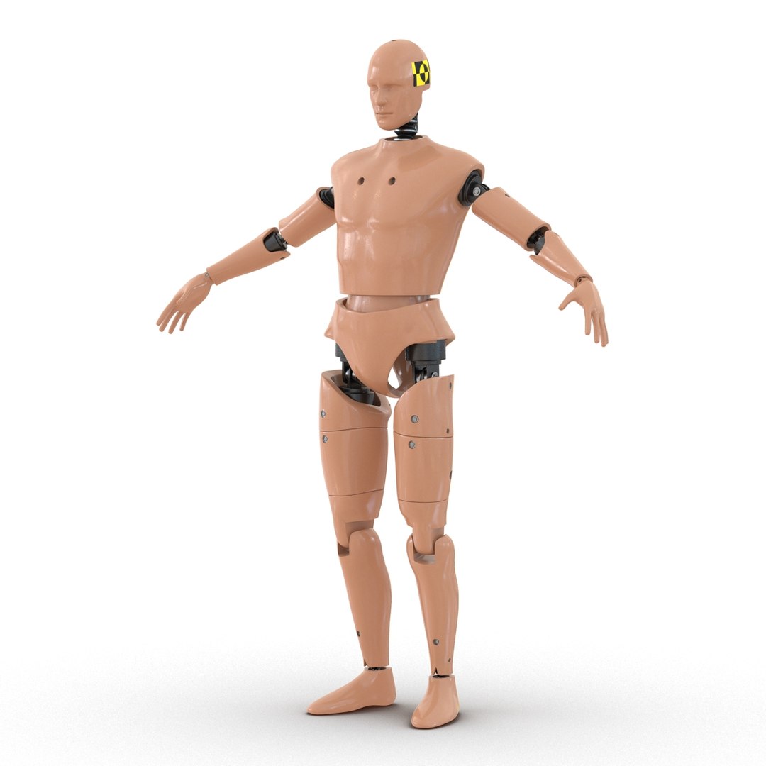male crash test dummy 3d model https://p.turbosquid.com/ts-thumb/QN/q2bQfW/98guX68t/malecrashtestdummyriggedmayamb3dmodel11/jpg/1481912571/1920x1080/fit_q87/b7c36bcb84072bc08924500f6372db31906b735a/malecrashtestdummyriggedmayamb3dmodel11.jpg