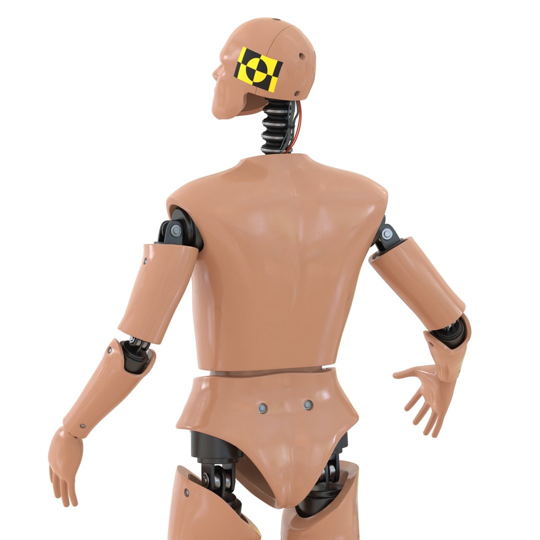 male crash test dummy 3d model https://p.turbosquid.com/ts-thumb/QN/q2bQfW/J9qNgq6v/malecrashtestdummyriggedmayamb3dmodel17/jpg/1481912571/1920x1080/fit_q87/5598f4f1d377baaf4f46e592c3ed5c3c49749460/malecrashtestdummyriggedmayamb3dmodel17.jpg