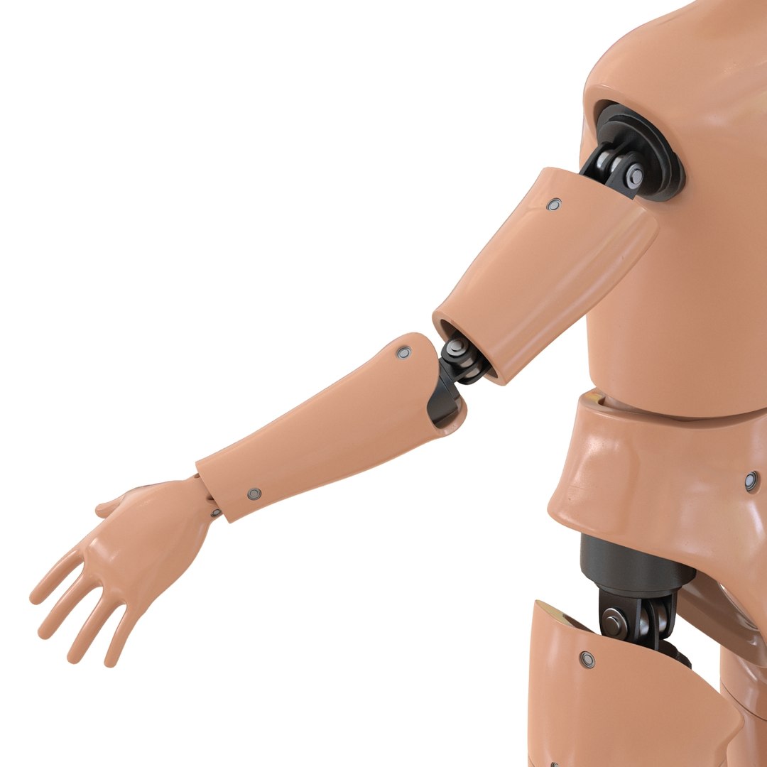 male crash test dummy 3d model https://p.turbosquid.com/ts-thumb/QN/q2bQfW/MWZCZifL/malecrashtestdummyriggedmayamb3dmodel21/jpg/1481912572/1920x1080/fit_q87/cd902e021e4e82b1402d1c77ab1fb0a0002df55c/malecrashtestdummyriggedmayamb3dmodel21.jpg