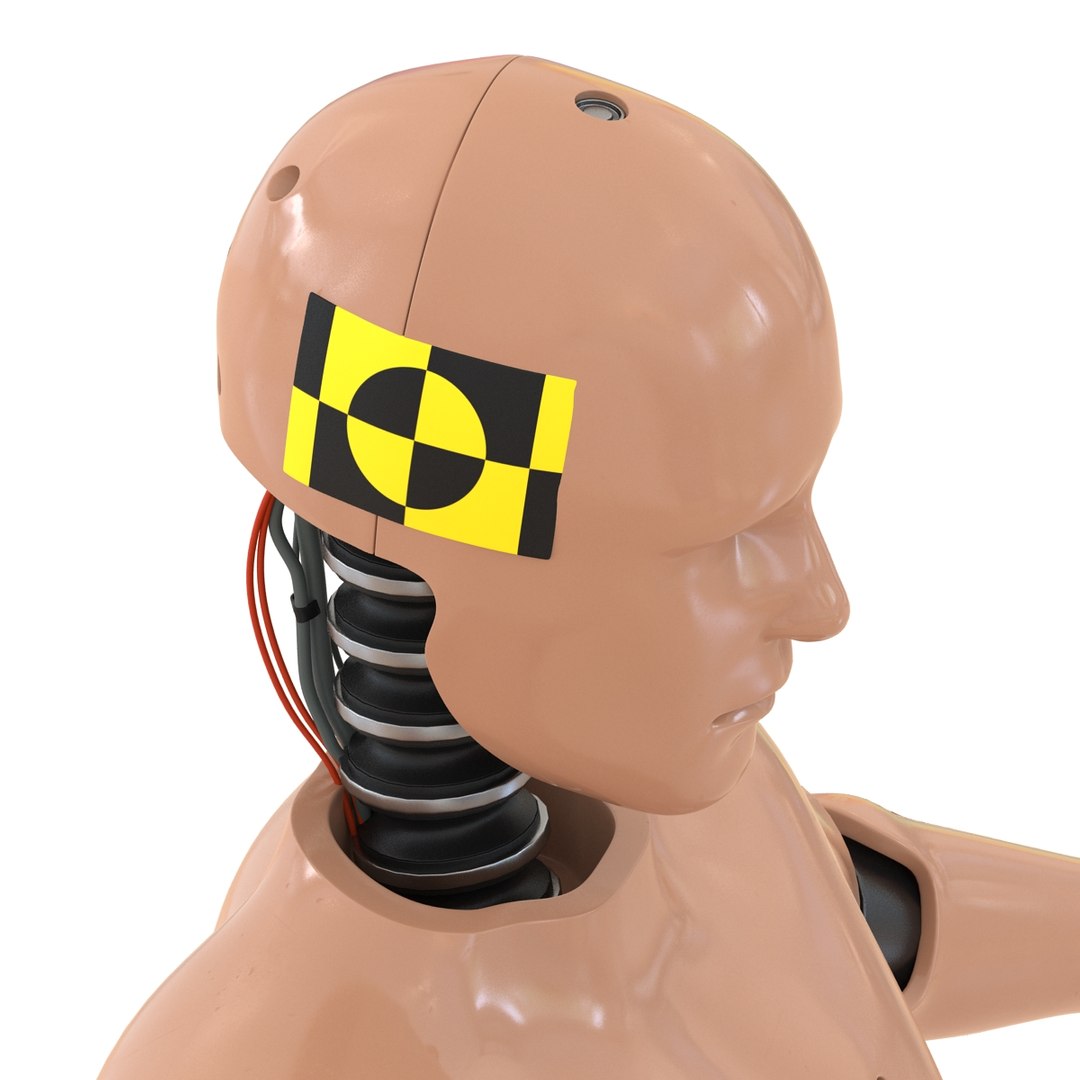 male crash test dummy 3d model https://p.turbosquid.com/ts-thumb/QN/q2bQfW/Mllz78M8/malecrashtestdummyriggedmayamb3dmodel28/jpg/1481912572/1920x1080/fit_q87/a92d377f8b3bf25c053fb83f2b9c31cdc4e157e5/malecrashtestdummyriggedmayamb3dmodel28.jpg