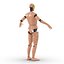 Mannequin d'essai de collision pour homme monté sur Maya