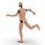 Mannequin d'essai de collision pour homme monté sur Maya