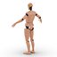 Mannequin d'essai de collision pour homme monté sur Maya
