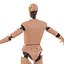 Mannequin d'essai de collision pour homme monté sur Maya