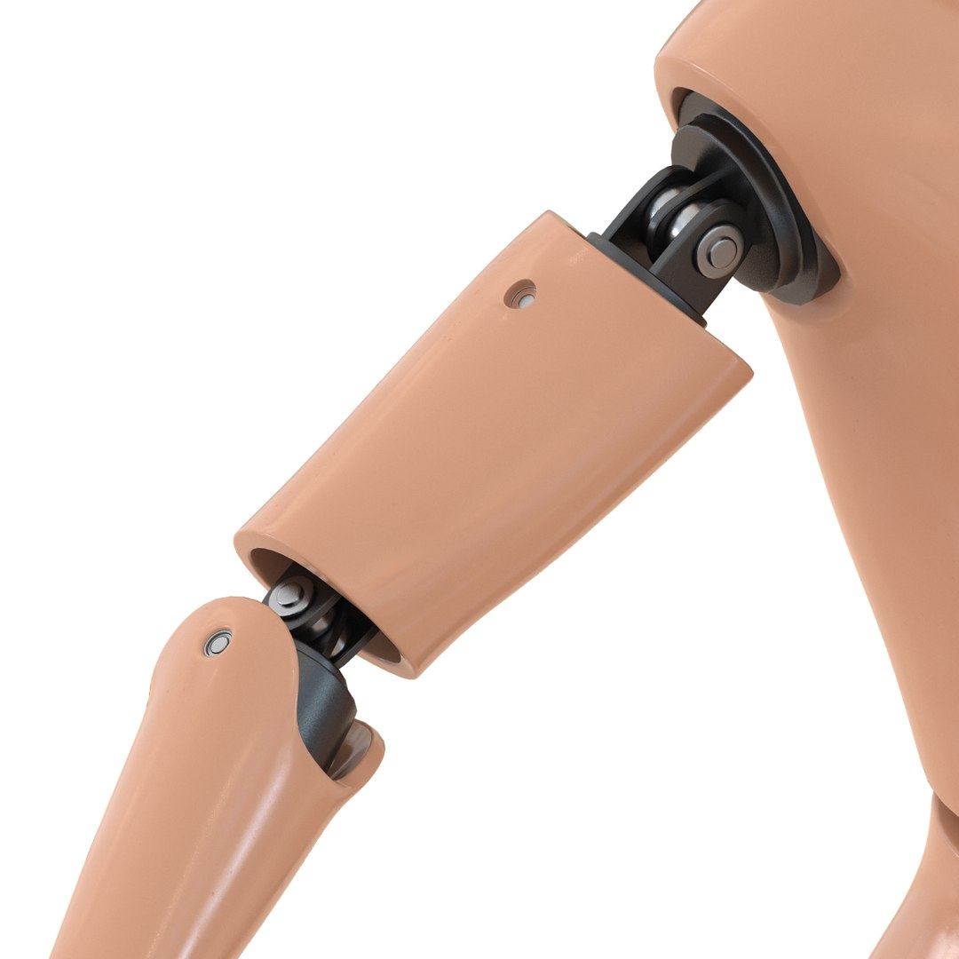 male crash test dummy 3d model https://p.turbosquid.com/ts-thumb/QN/q2bQfW/qxaagm7t/malecrashtestdummyriggedmayamb3dmodel29/jpg/1481912572/1920x1080/fit_q87/37a5570d40effd4af5c8119c5019b08772875d1a/malecrashtestdummyriggedmayamb3dmodel29.jpg