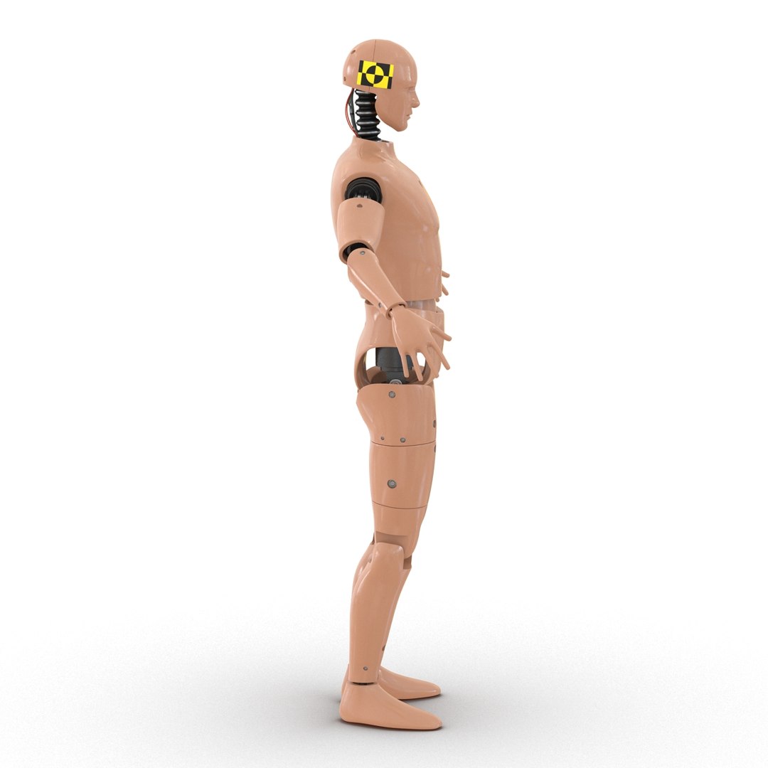 male crash test dummy 3d model https://p.turbosquid.com/ts-thumb/QN/q2bQfW/v6YJUaER/malecrashtestdummyriggedmayamb3dmodel06/jpg/1481912571/1920x1080/fit_q87/27294802b31d8cdca2c0873f07819871faa0df3d/malecrashtestdummyriggedmayamb3dmodel06.jpg