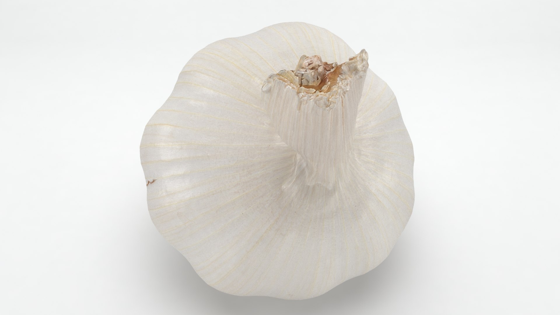 Garlic 3D model https://p.turbosquid.com/ts-thumb/QN/zHgjwx/4p/garlic_b0008/jpg/1646764993/1920x1080/fit_q87/54ed645051169af6a506ef772e7575042036d673/garlic_b0008.jpg