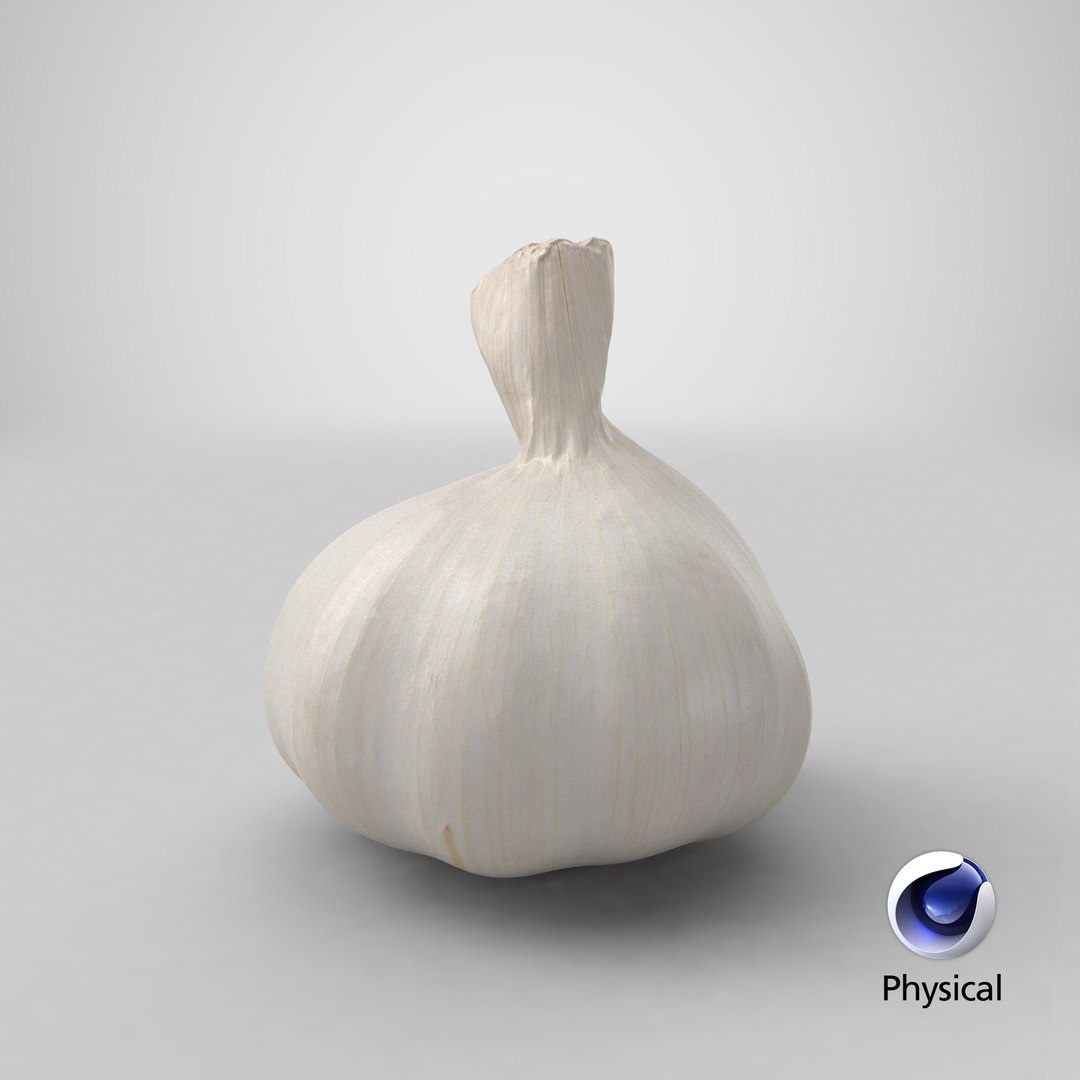 Garlic 3D model https://p.turbosquid.com/ts-thumb/QN/zHgjwx/9D/stemcell_cinema_4d_physical_render/png/1648543995/1920x1080/fit_q87/27f39efab231b51e886e3ae6d846974d4d137f9d/stemcell_cinema_4d_physical_render.jpg