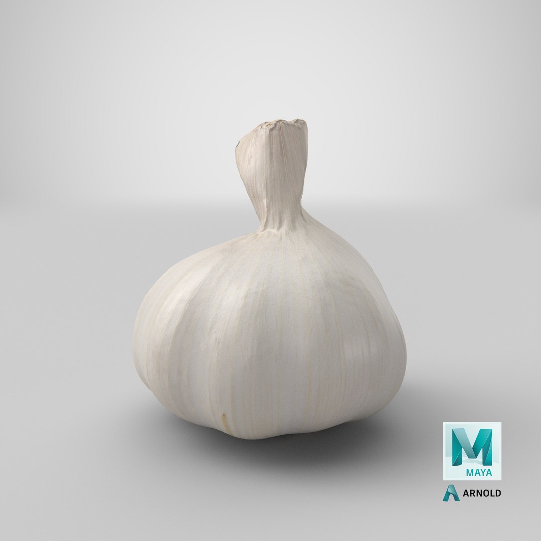 Garlic 3D model https://p.turbosquid.com/ts-thumb/QN/zHgjwx/CB/stemcell_maya_arnold_render/png/1648544007/1920x1080/fit_q87/29946312a6f3b2e3ed729b6248e2e8119a9edbba/stemcell_maya_arnold_render.jpg