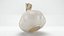 Garlic 3D model