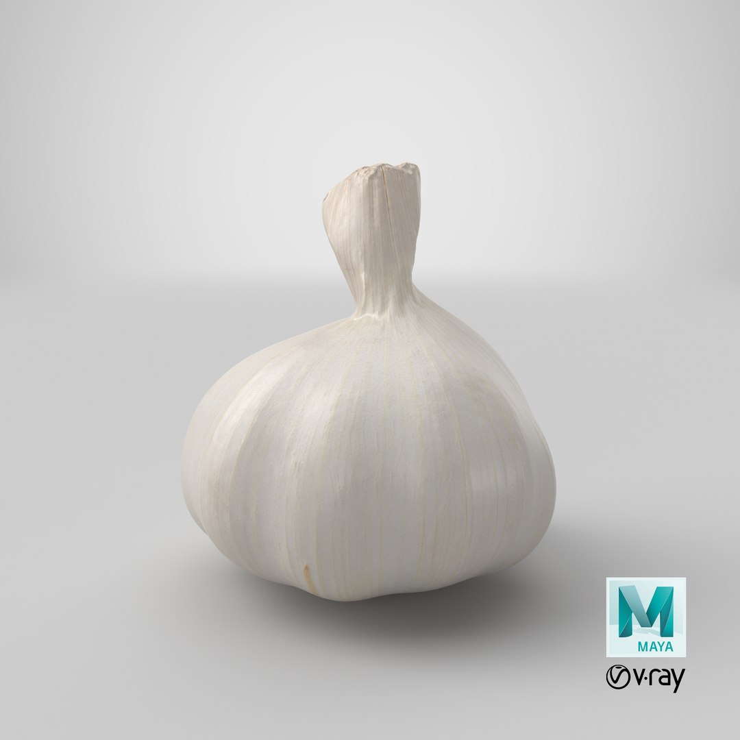 Garlic 3D model https://p.turbosquid.com/ts-thumb/QN/zHgjwx/VE/stemcell_maya_vray_render/png/1648544011/1920x1080/fit_q87/1e56c4b05039a82c28d820a13d15c81db95a9c8a/stemcell_maya_vray_render.jpg
