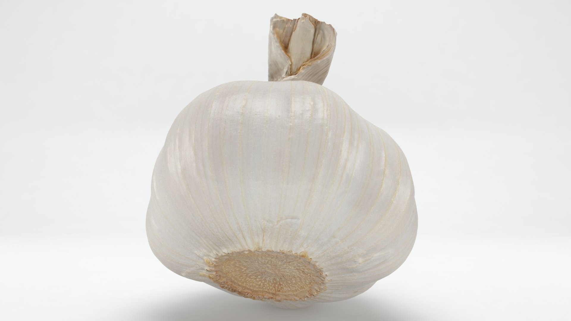 Garlic 3D model https://p.turbosquid.com/ts-thumb/QN/zHgjwx/XC/garlic_b0006/jpg/1646764988/1920x1080/fit_q87/12d45cce2bc98a97f61f3b58bc3da0ba08afccde/garlic_b0006.jpg