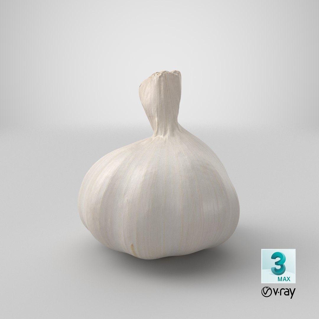 Garlic 3D model https://p.turbosquid.com/ts-thumb/QN/zHgjwx/XH/stemcell_max_vray_render/png/1648544006/1920x1080/fit_q87/08490db8b5d86b05c60c18dc0b3d9b984d005cca/stemcell_max_vray_render.jpg