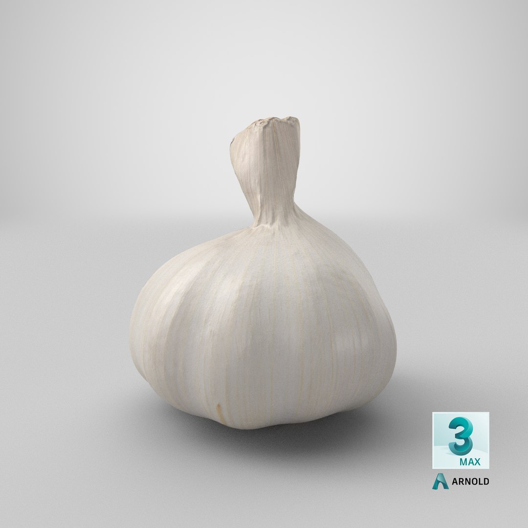 Garlic 3D model https://p.turbosquid.com/ts-thumb/QN/zHgjwx/cy/stemcell_max_arnold_render/png/1648544002/1920x1080/fit_q87/d2363c349abfe37518076ff90e445320e04693d8/stemcell_max_arnold_render.jpg