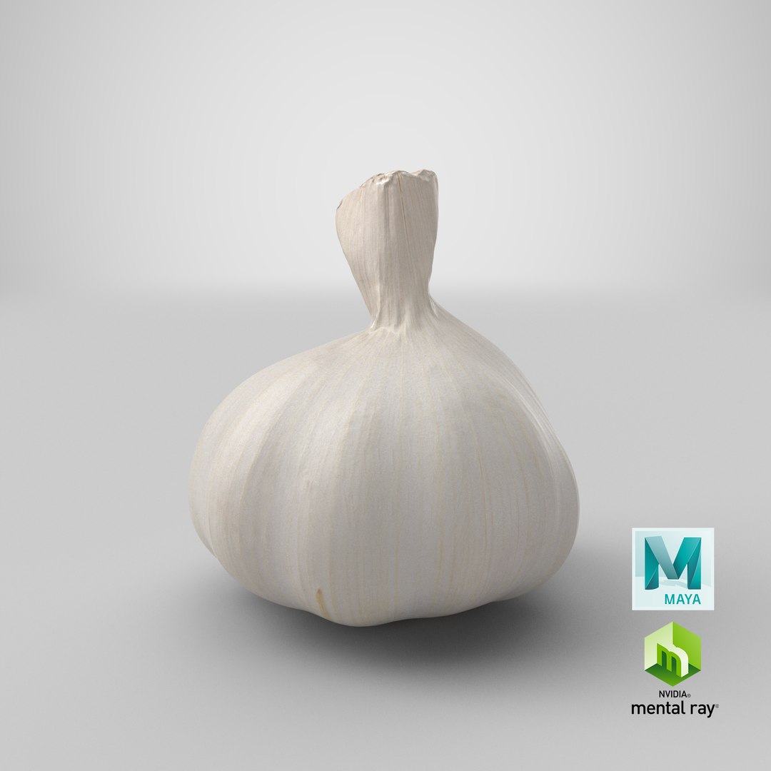 Garlic 3D model https://p.turbosquid.com/ts-thumb/QN/zHgjwx/go/stemcell_maya_mental_ray_render/png/1648544009/1920x1080/fit_q87/1e8167d05ddf45a64a589da38ee78b395b5fd4fc/stemcell_maya_mental_ray_render.jpg