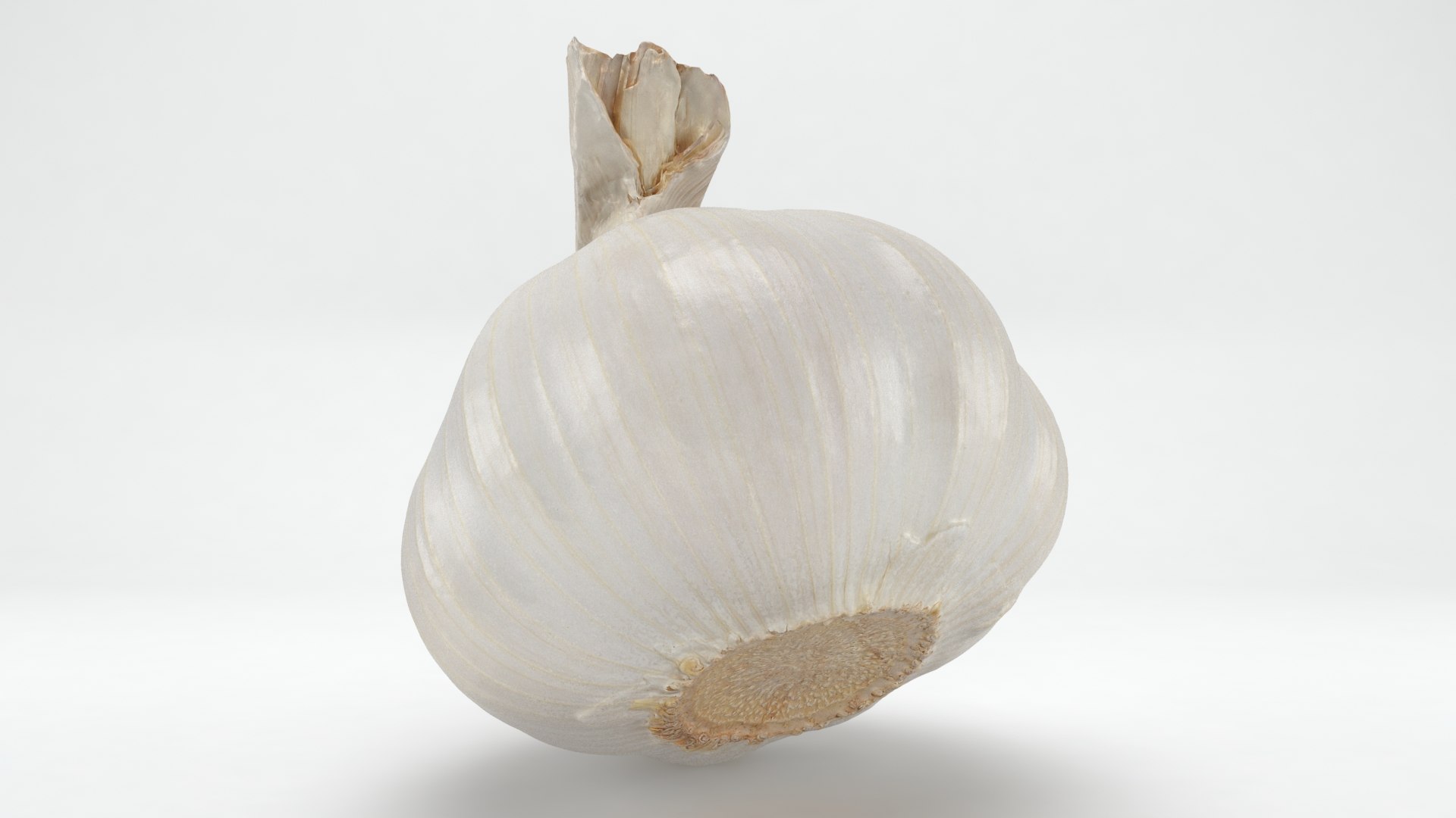 Garlic 3D model https://p.turbosquid.com/ts-thumb/QN/zHgjwx/hi/garlic_b0011/jpg/1646764939/1920x1080/fit_q87/025b4dda1a8e9e7f73889f663b2c19b547d13c3a/garlic_b0011.jpg
