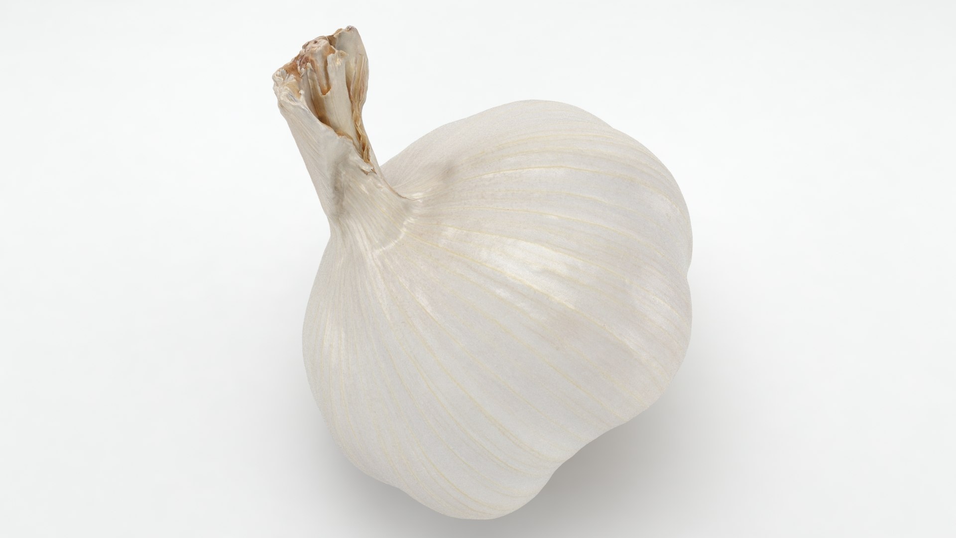 Garlic 3D model https://p.turbosquid.com/ts-thumb/QN/zHgjwx/lI/garlic_b0014/jpg/1646764951/1920x1080/fit_q87/20321e718736f6752c876589d796cf0012c99285/garlic_b0014.jpg