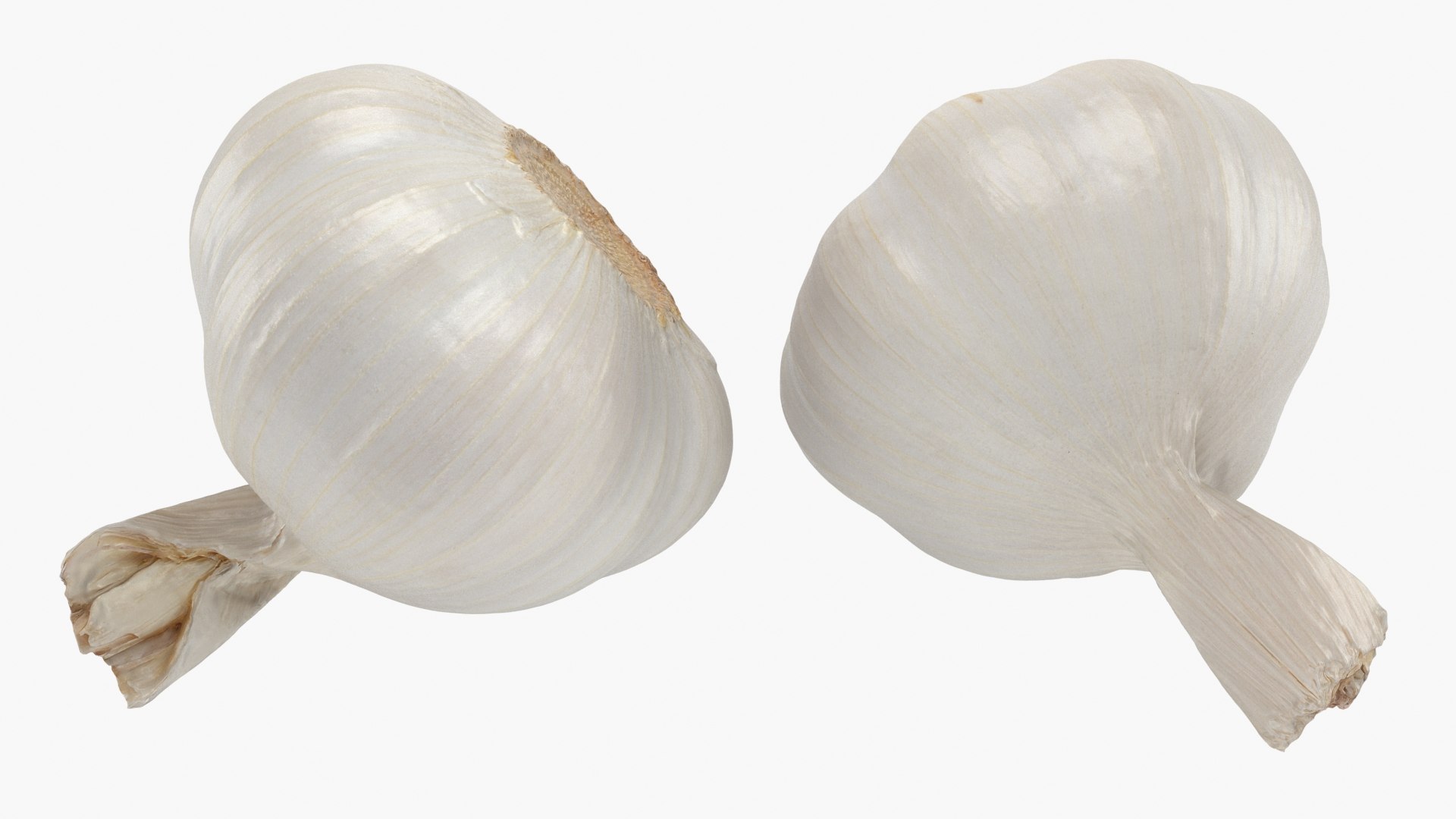 Root Vegetables Collection 3 3D https://p.turbosquid.com/ts-thumb/QN/zHgjwx/lx/garlic_a0002/jpg/1789231402/1920x1080/fit_q87/a4ebf9acca6492f79c6d3628f44d6550f7c46fef/garlic_a0002.jpg