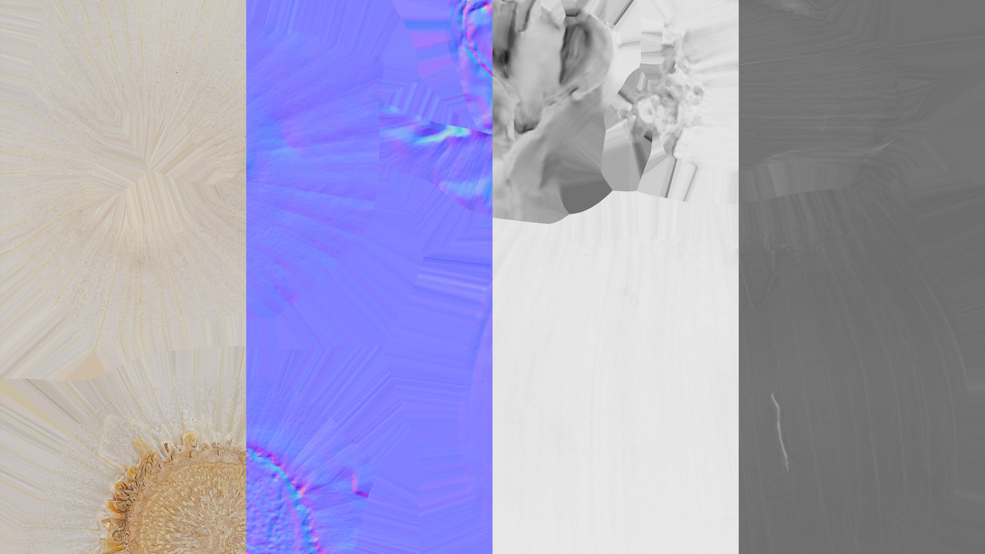 Garlic 3D model https://p.turbosquid.com/ts-thumb/QN/zHgjwx/tm/garlic_d0005/jpg/1646764968/1920x1080/fit_q87/10ea896947c7c6e1703152757b02b1b583ac0c14/garlic_d0005.jpg