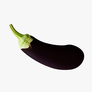 3D Aubergine - Eggplant -  Drag  Drop texture included -3D Asset model