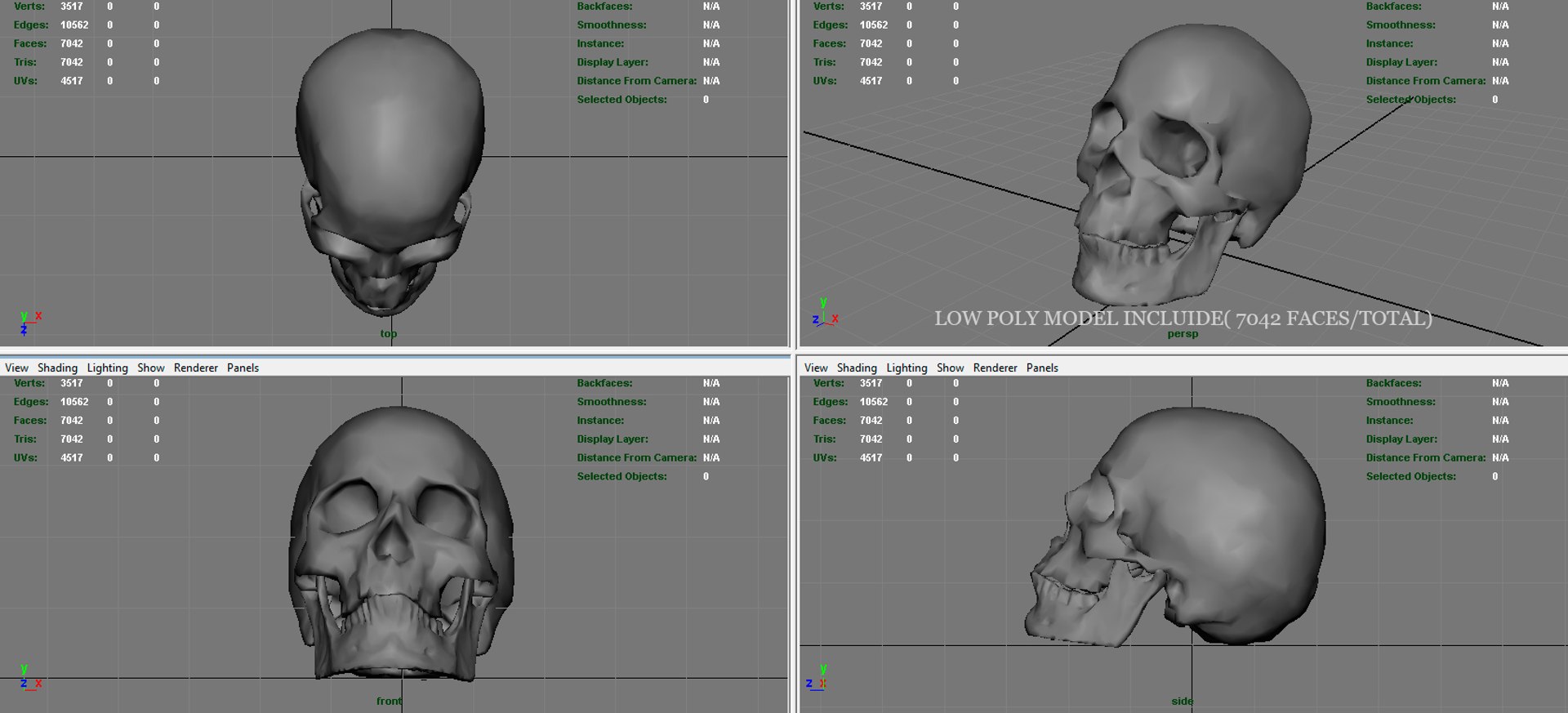Max Skull Jaw