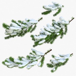 christmas fir branches model