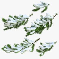 Christmas Fir Branches 03 Snow