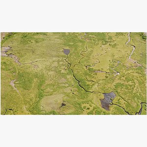 Terrain River Wetlands - 3D PBR Model 3D