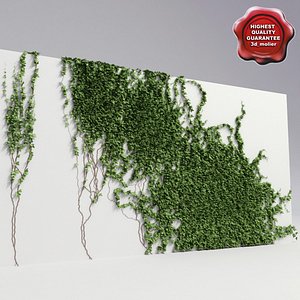 Wall with ivy V4