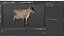 Jersey Dairy Cow
