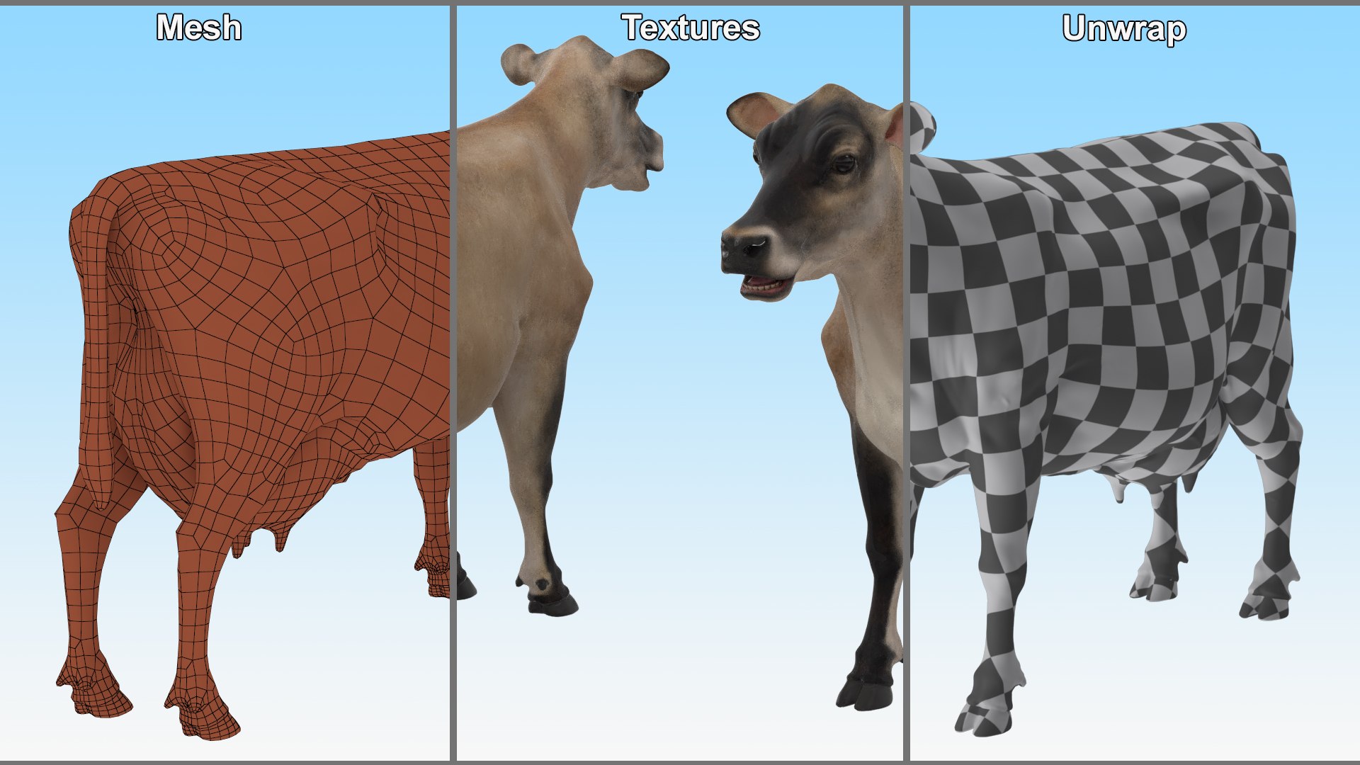 Jersey Dairy Cow 3D https://p.turbosquid.com/ts-thumb/QO/hSxlM2/5i/jersey_dairy_cow_014/jpg/1731730580/1920x1080/fit_q87/54b4a99db209d581b7433cf61ee777ad097837b7/jersey_dairy_cow_014.jpg
