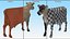 Jersey Dairy Cow