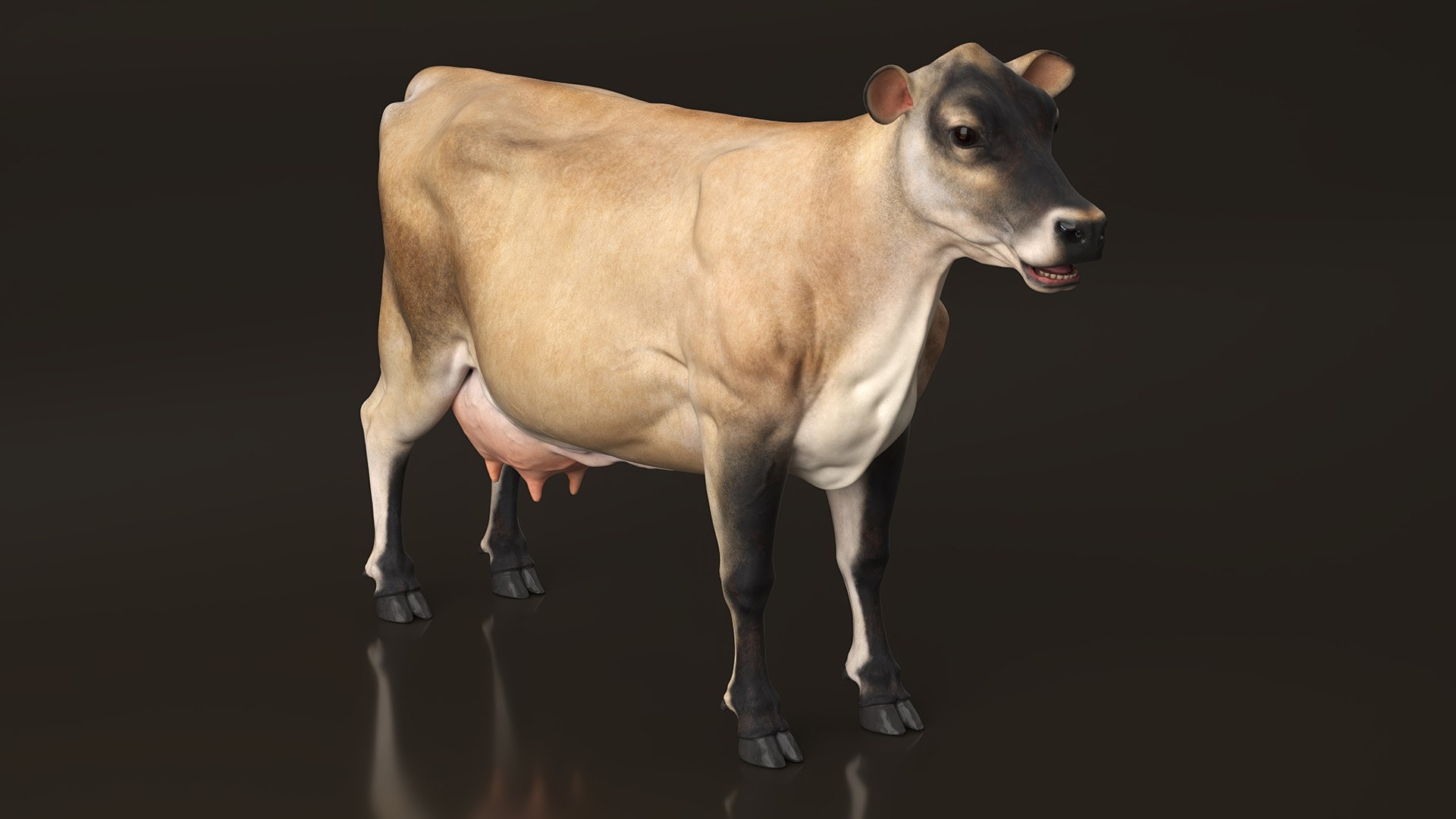 Jersey Dairy Cow 3D https://p.turbosquid.com/ts-thumb/QO/hSxlM2/7Y/jersey_dairy_cow_006/jpg/1731730536/1920x1080/fit_q87/5d98dd180bddc4d908c32a88a38f9003fa6fe036/jersey_dairy_cow_006.jpg