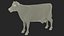 Jersey Dairy Cow