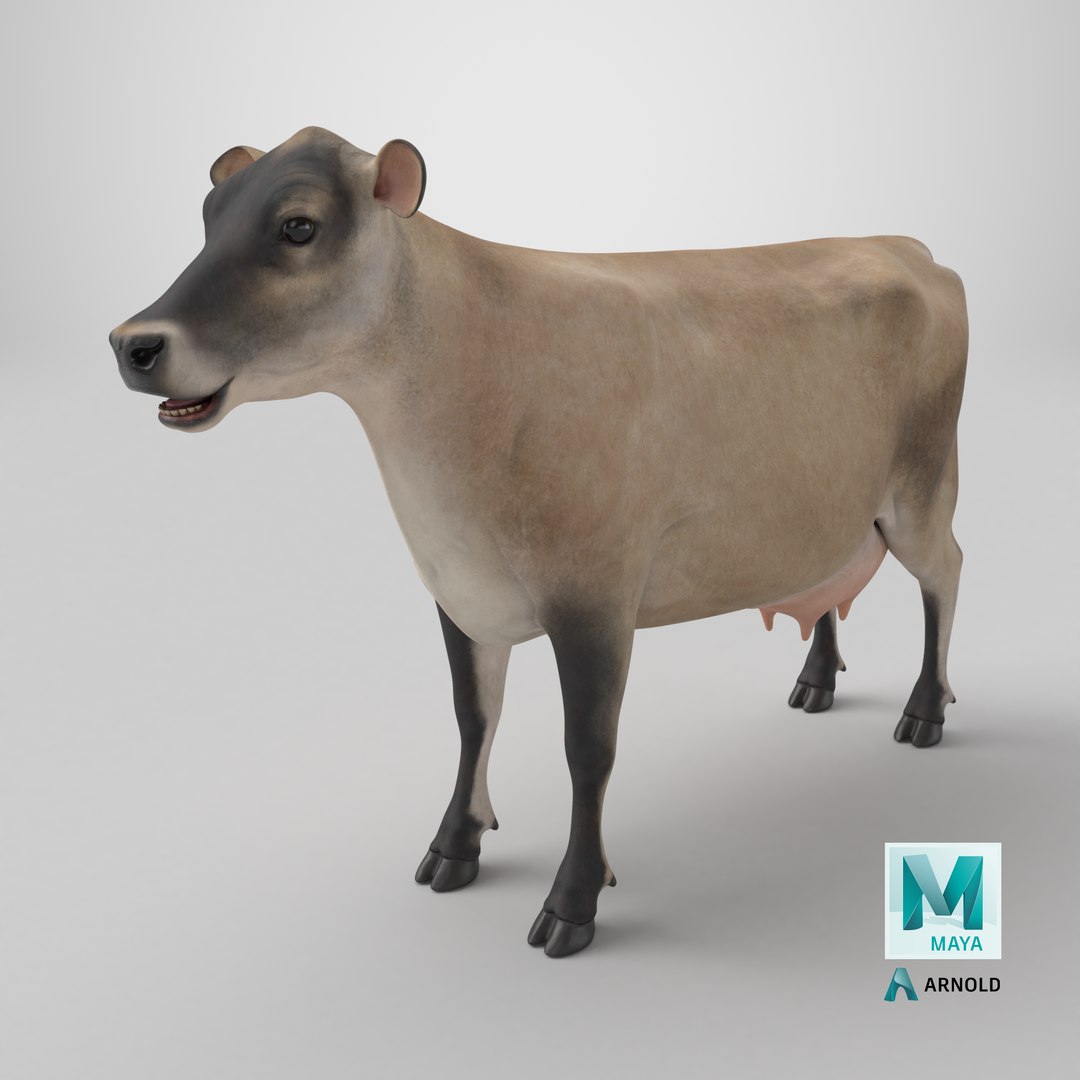Jersey Dairy Cow 3D https://p.turbosquid.com/ts-thumb/QO/hSxlM2/Pe/stemcell_maya_arnold_render/png/1734169277/1920x1080/fit_q87/760376708e6c1bb093f4dc78a12d9aa6044cf680/stemcell_maya_arnold_render.jpg