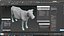 Jersey Dairy Cow