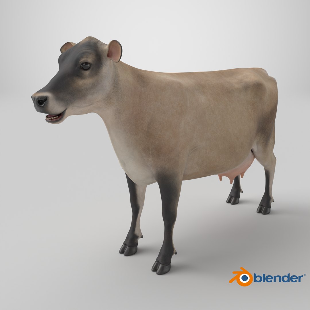 Jersey Dairy Cow 3D https://p.turbosquid.com/ts-thumb/QO/hSxlM2/jP/stemcell_blender_cycles_render/png/1734169275/1920x1080/fit_q87/669826f1f3ccce950773be305c24be75030695a7/stemcell_blender_cycles_render.jpg