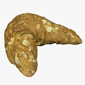 3D Nut Croissant model