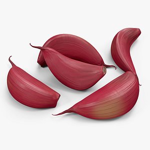 3D Five Garlic Cloves Red