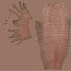 Anatomie complète du bras humain