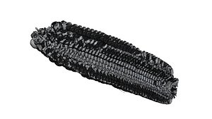 corn 3D CT scan model cut1 half decimae 80 percent 3D model