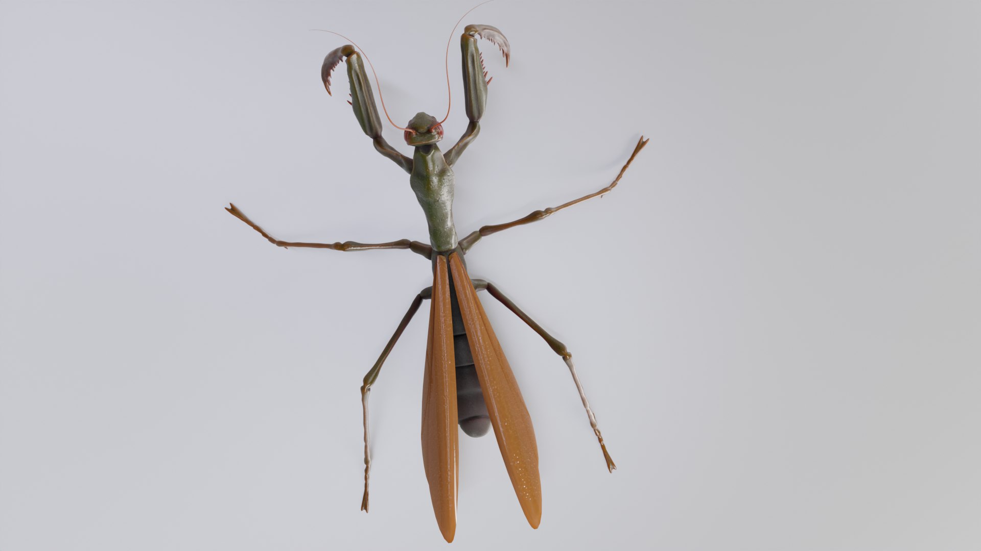Praying Mantis High Quality Low Poly 3D Model 3D Model - TurboSquid 2264511